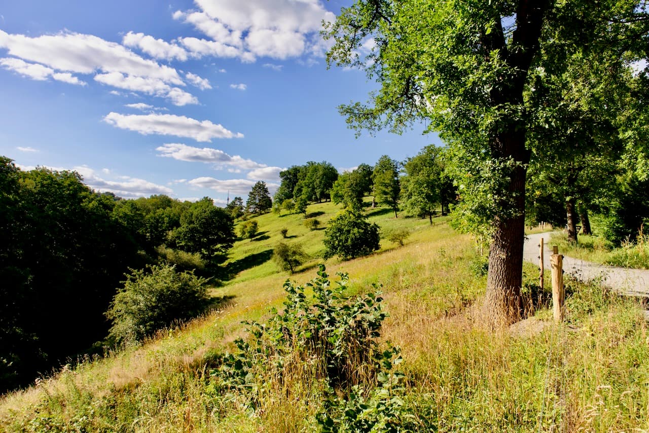 Riedenberg Wohnung Bild 22