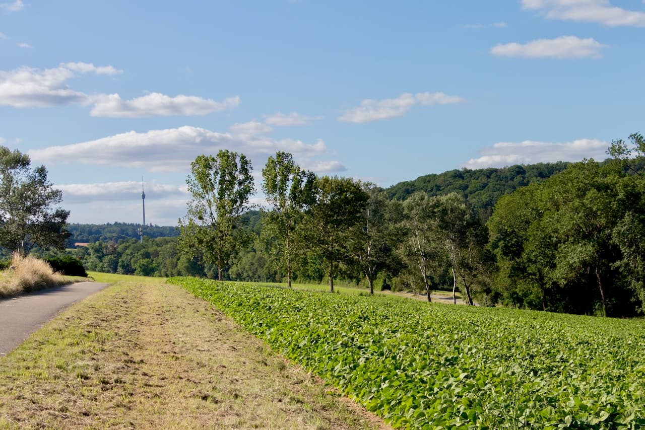 Riedenberg Wohnung Bild 23