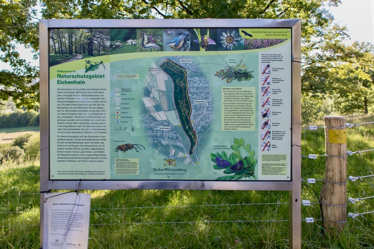 Riedenberg Wohnung Bild 24